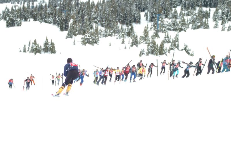 ../Images/DSC_0029.jpg